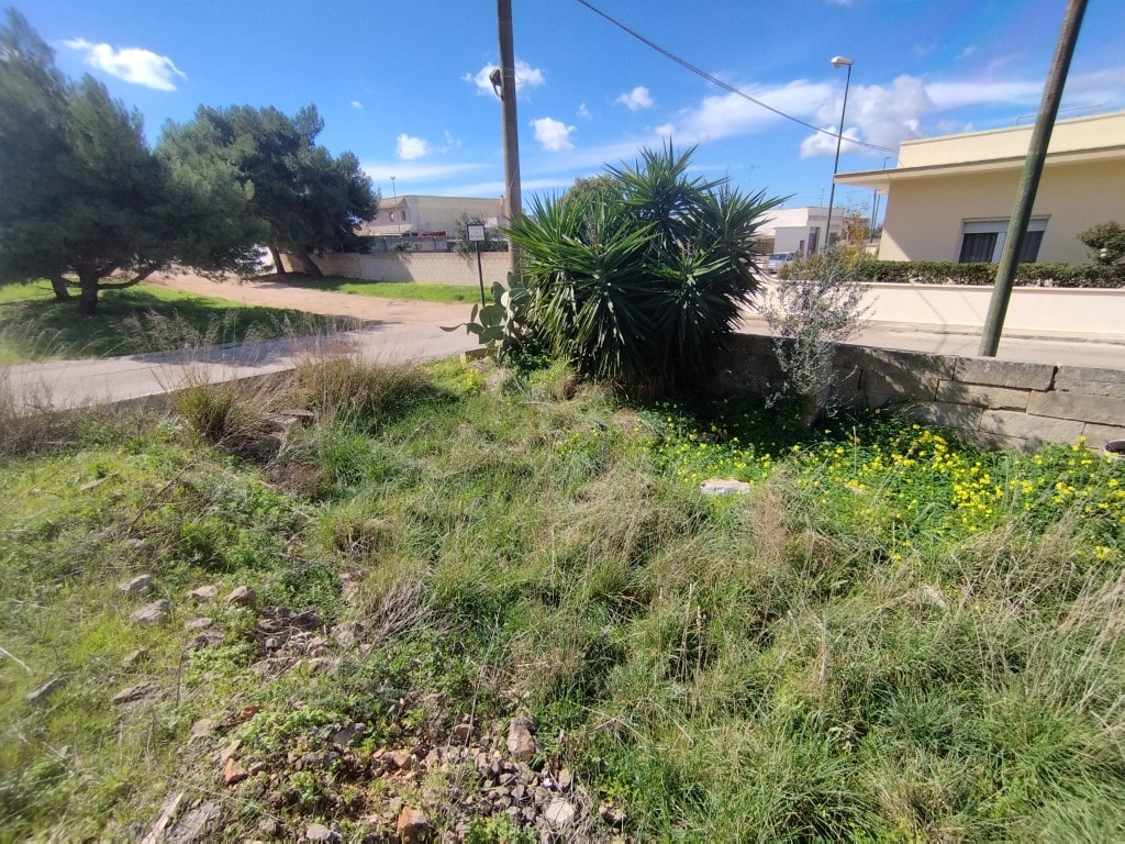 Giano Group Immobiliare